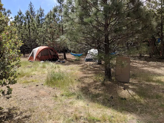 Prewitt Ridge Campground Picture 10