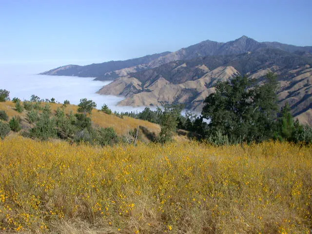 Prewitt Ridge Campground Picture 6