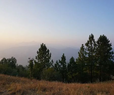 Alms Campground