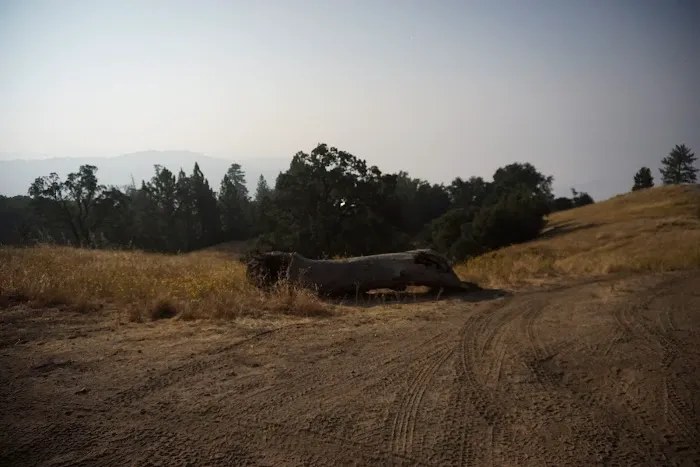 Alms Campground Picture 8