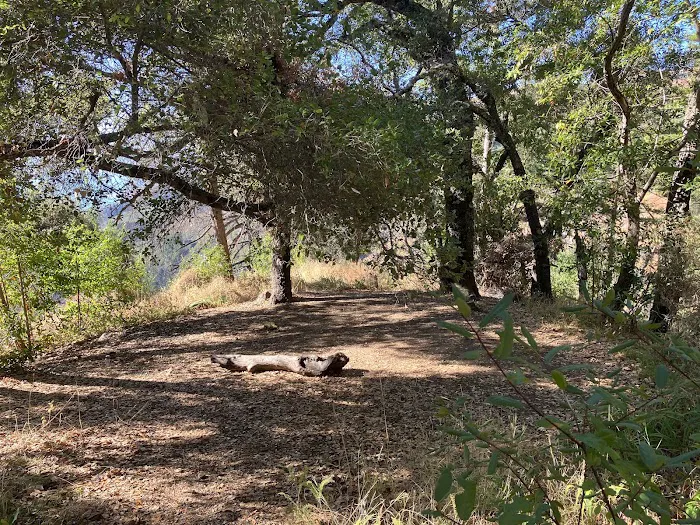 Espinosa Camp Picture 1