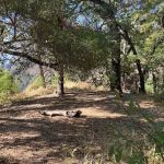 Espinosa Camp