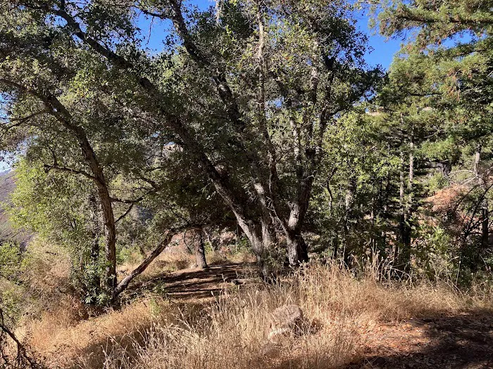 Espinosa Camp Picture 3