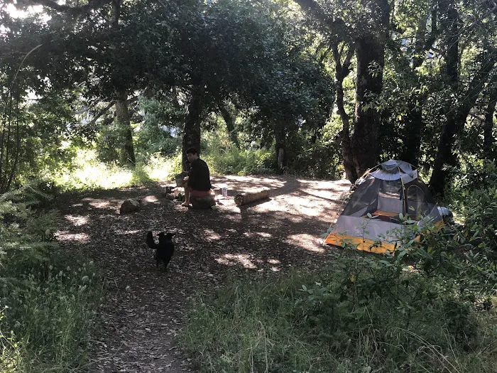 Espinosa Camp Picture 6