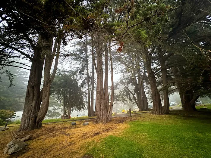 Plaskett Creek Campground Picture 4