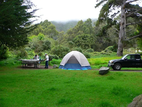 Plaskett Creek Campground Picture 9
