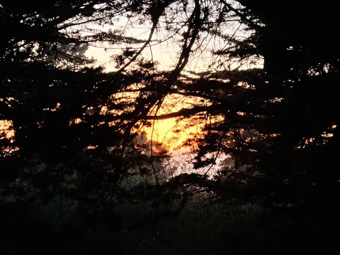 Plaskett Creek Campground Picture 8