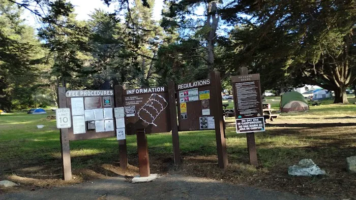 Plaskett Creek Campground Picture 2