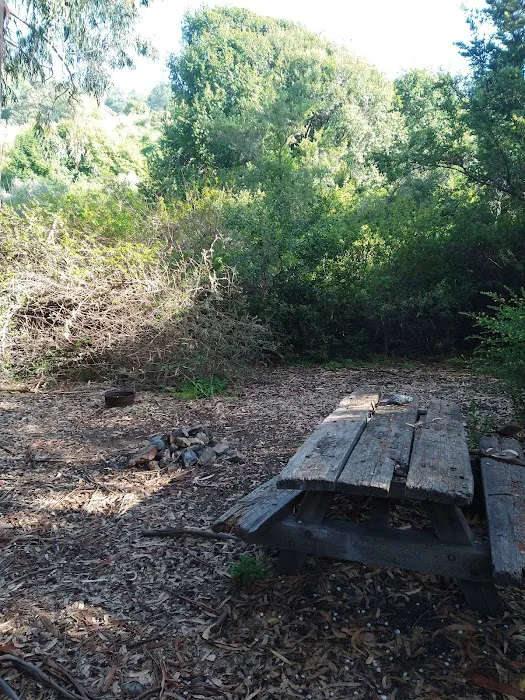 Sycamore Flat Campground Picture 3