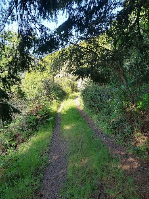 Sycamore Flat Campground Picture 5