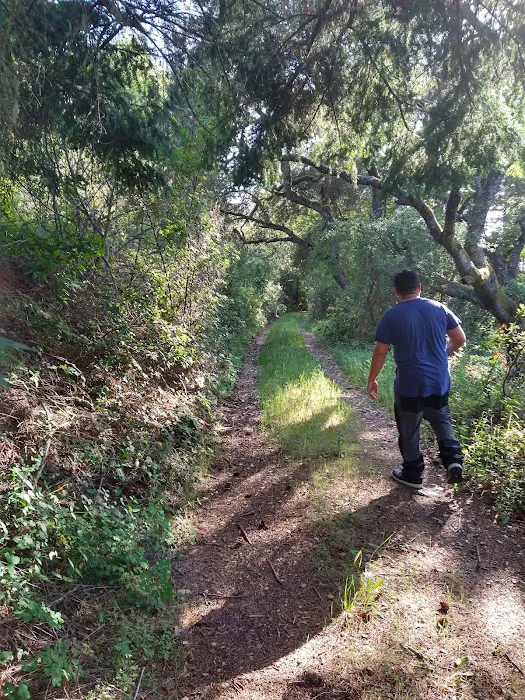 Sycamore Flat Campground Picture 4
