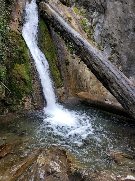 Limekiln Campground Picture 4