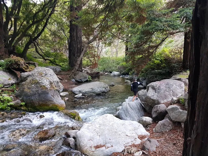 Limekiln Campground Picture 5