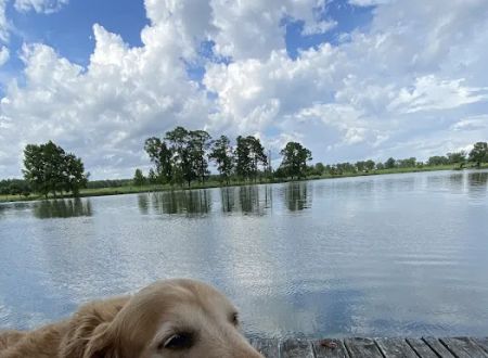 Lake Felix Rv Park