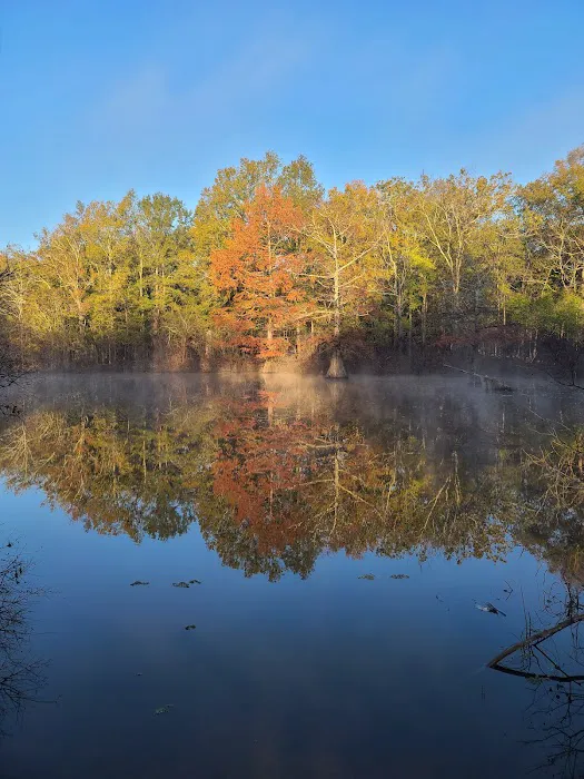 Muddy Bayou Campground Picture 4