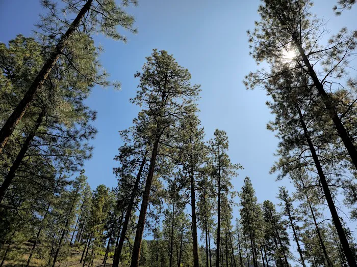 Paliza Family Campground Picture 4