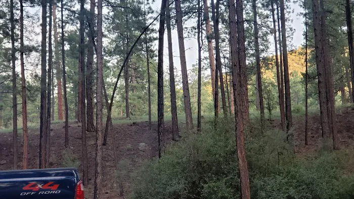 Paliza Family Campground Picture 7