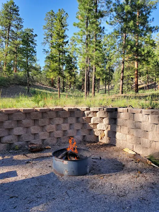 Paliza Family Campground Picture 3