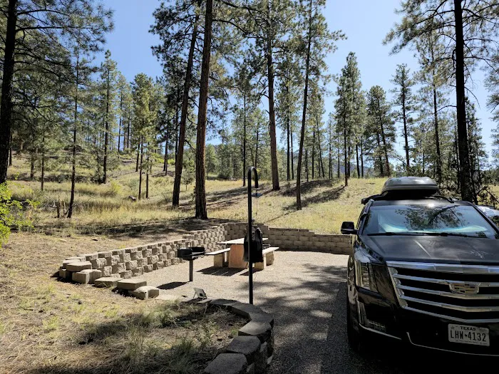 Paliza Family Campground Picture 5