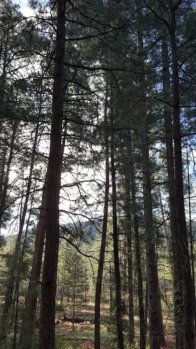 Paliza Group Campground Picture 10