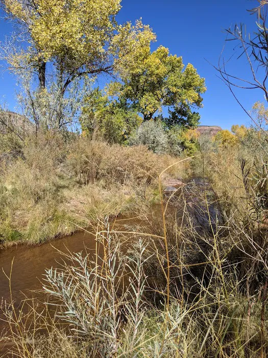 La Junta Fishing Site (recgovnpsdata) Picture 1