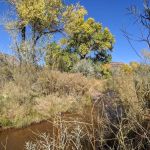La Junta Fishing Site (recgovnpsdata)