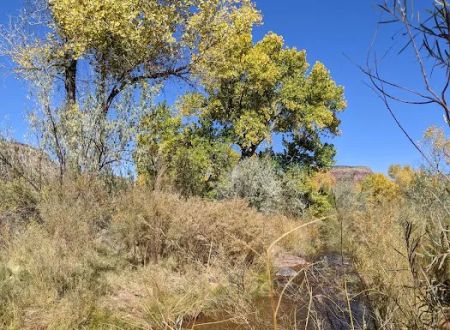 La Junta Fishing Site (recgovnpsdata)