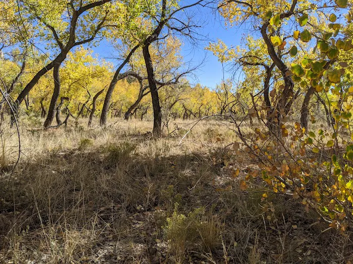 La Junta Fishing Site (recgovnpsdata) Picture 5
