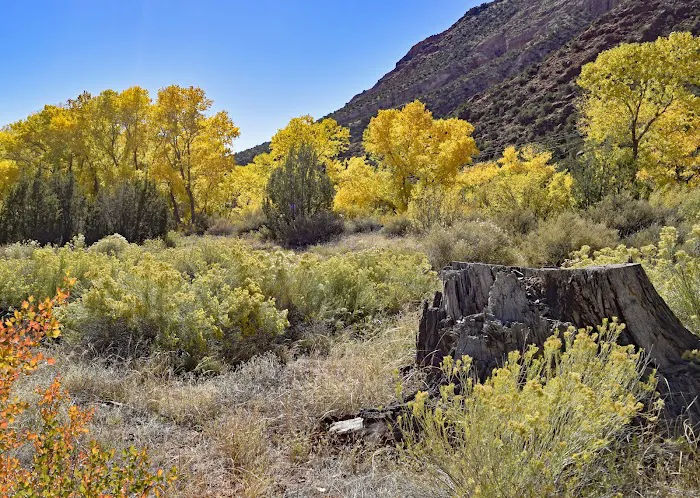 La Junta Fishing Site (recgovnpsdata) Picture 7