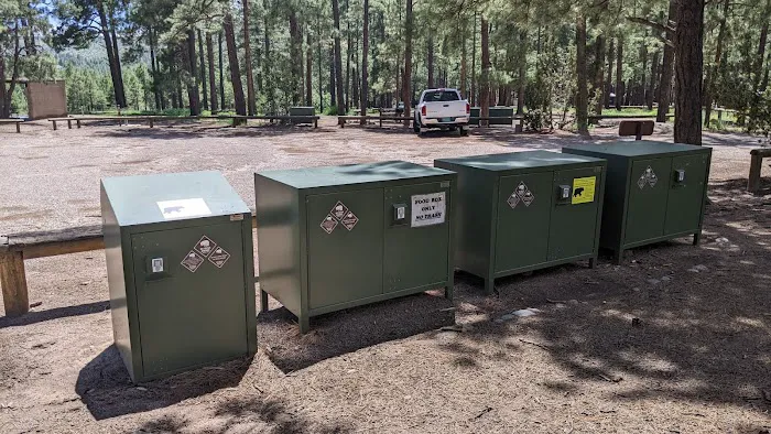 Ponderosa Group Campground Picture 2