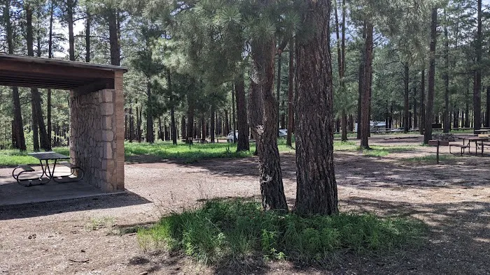 Ponderosa Group Campground Picture 3