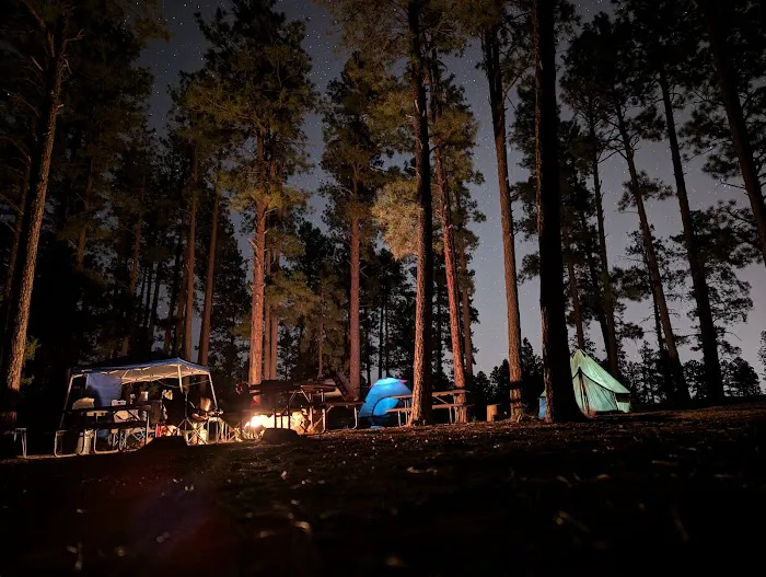Ponderosa Group Campground Picture 4