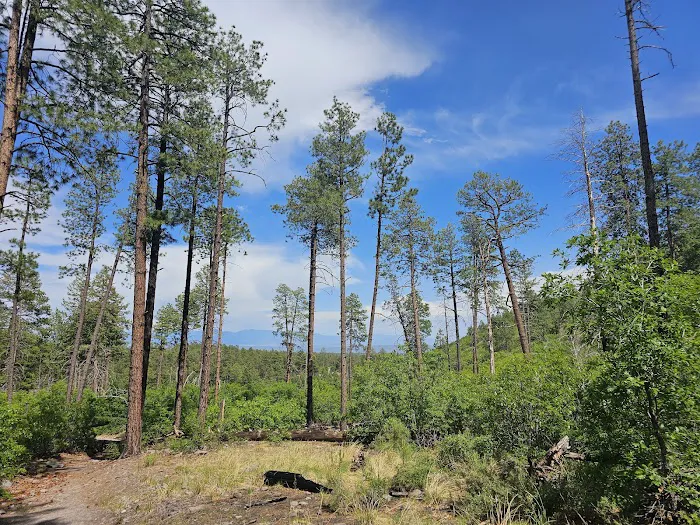 Ponderosa Group Campground Picture 9