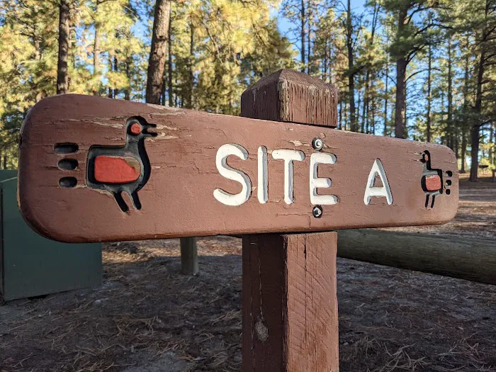 Ponderosa Group Campground Picture 8