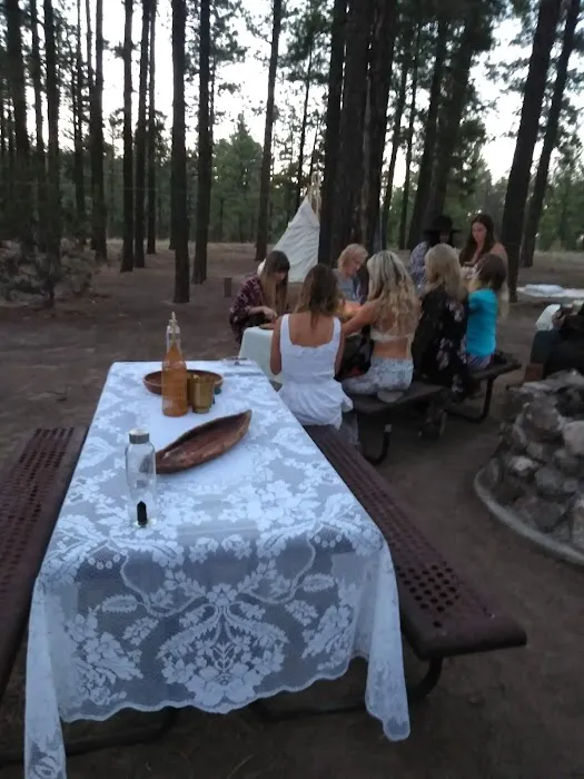 Ponderosa Group Campground Picture 10