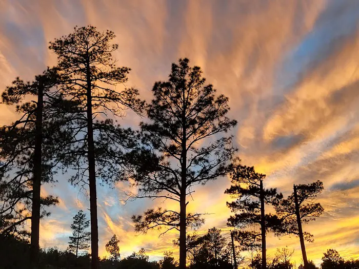 Juniper Family Campground Picture 3