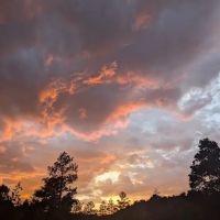 Juniper Family Campground ico