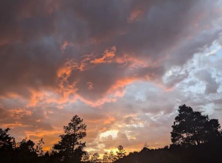 Juniper Family Campground