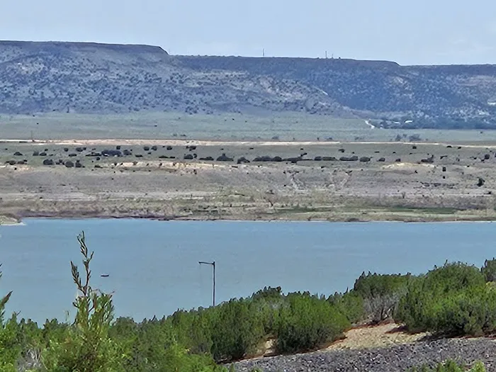Cochiti Rec Area, Juni Loop Picture 8