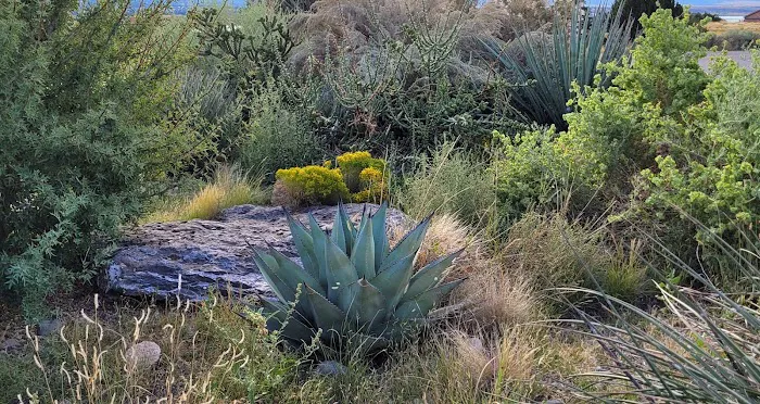 Cochiti Rec Area, Buffalo Grove Loop Picture 1