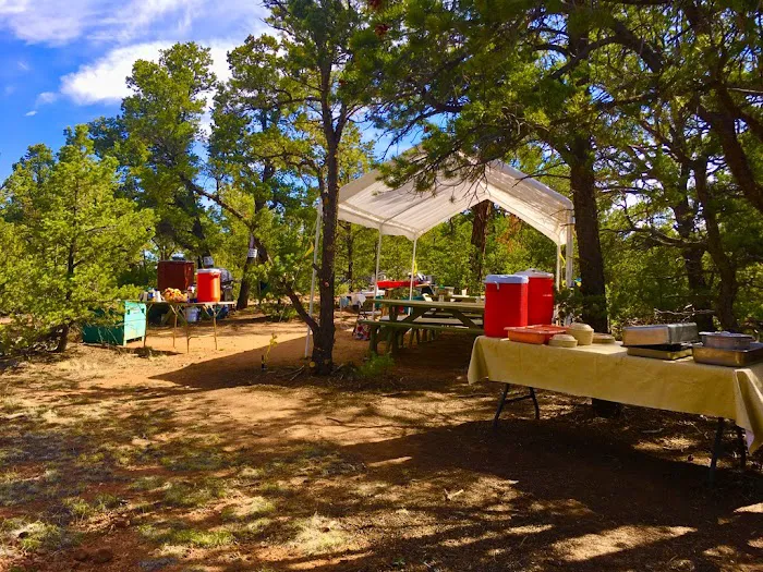 Santa Fe Tree-House Camp Picture 8
