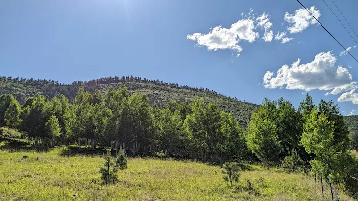 Cow Creek Campground Picture 3