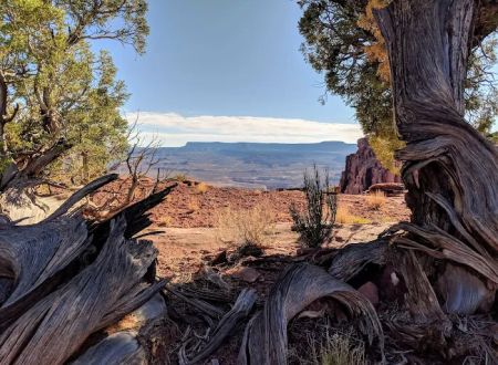 Panorama Point