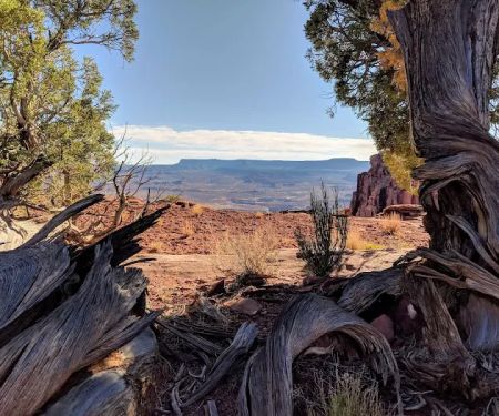 Panorama Point