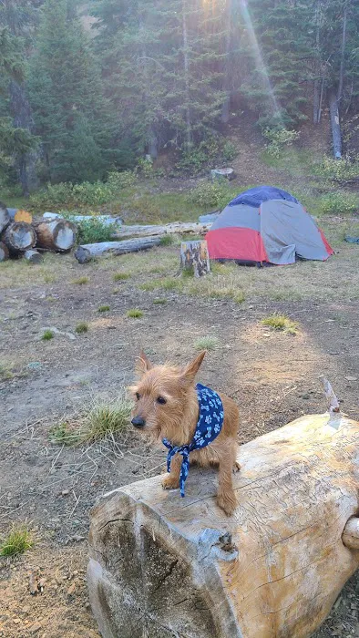Little Crater Campground Picture 7