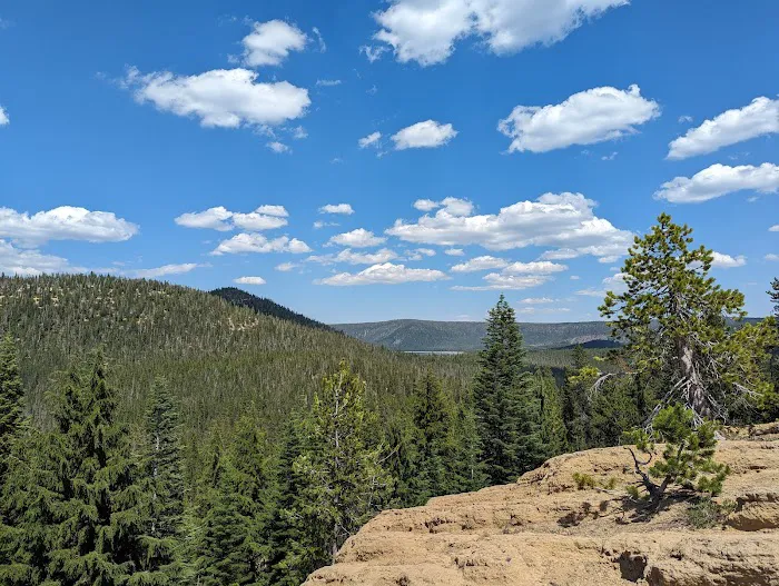 Little Crater Campground Picture 6