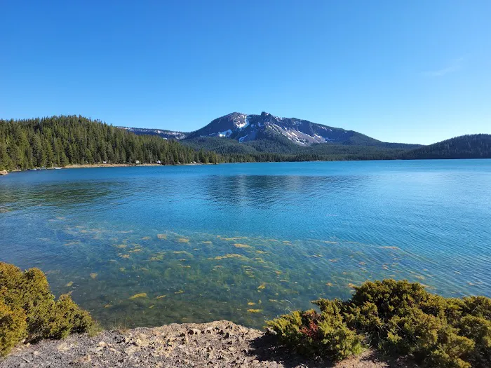 Paulina Lake Campground Picture 7