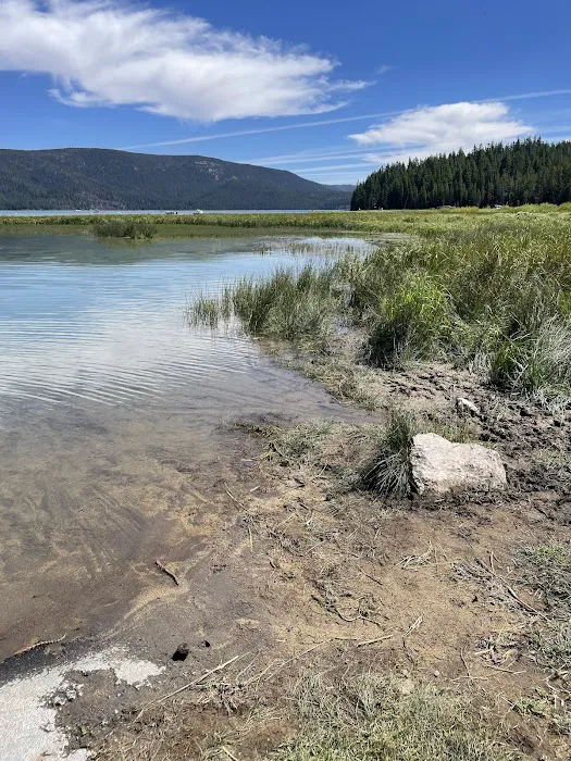 Paulina Lake Campground Picture 1