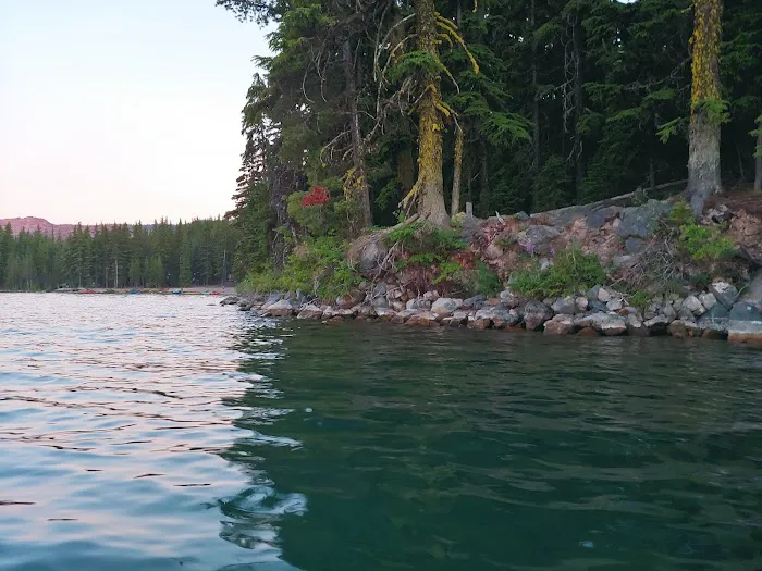Newberry Group Camp Site Picture 6