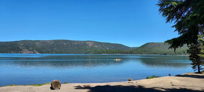 Newberry Group Camp Site Picture 9